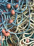 Fishing Nets